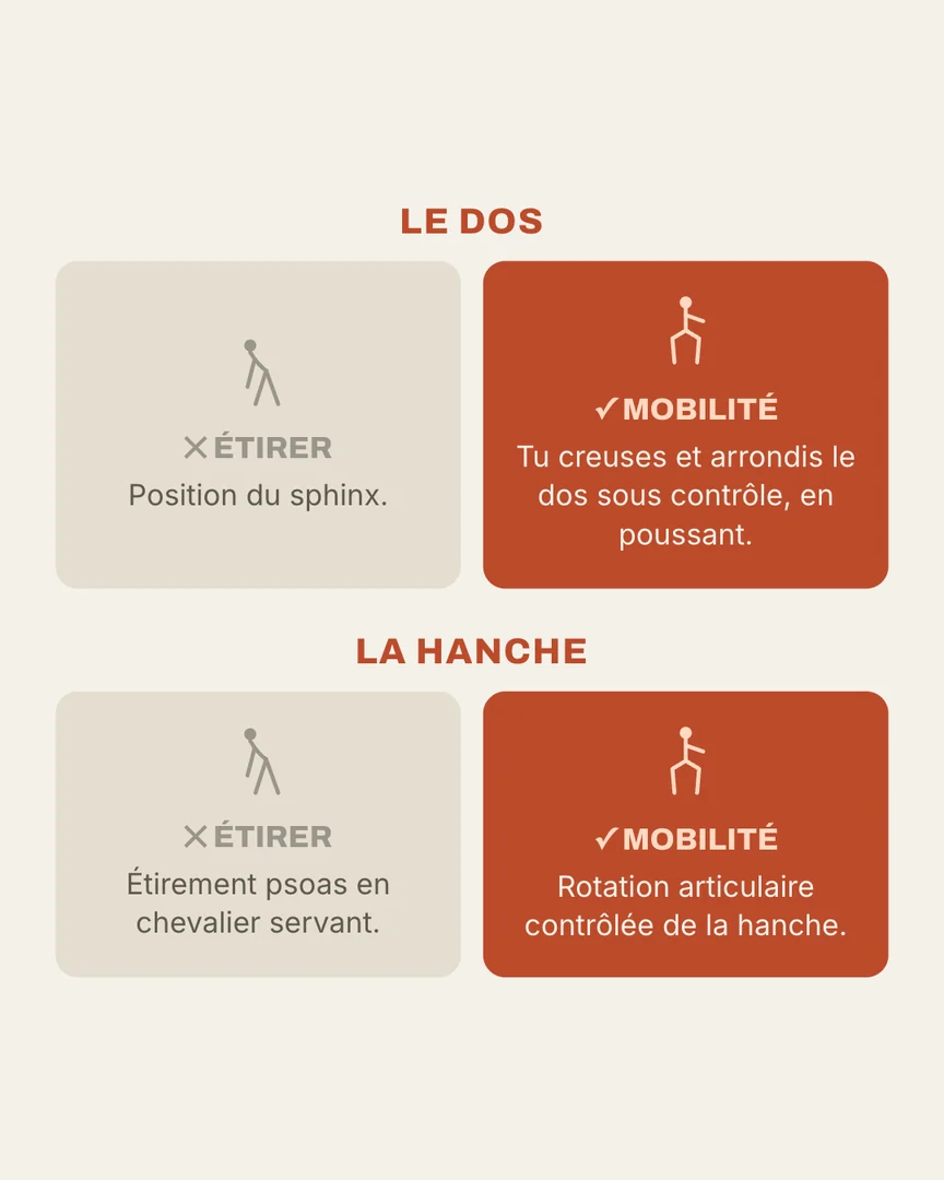 Le dos : étirer, c'est la position du sphinx, la mobilité, c'est creuser et arrondir le dos sous contrôle en poussant. La hanche : étirer, c'est l'étirement du psoas en chevalier servant, la mobilité, c'est la rotation articulaire contrôlée de la hanche.